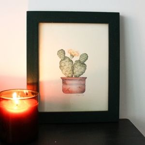 Vintage Flowering Cactus Framed Print by Karyn Frances Gray / Southwestern